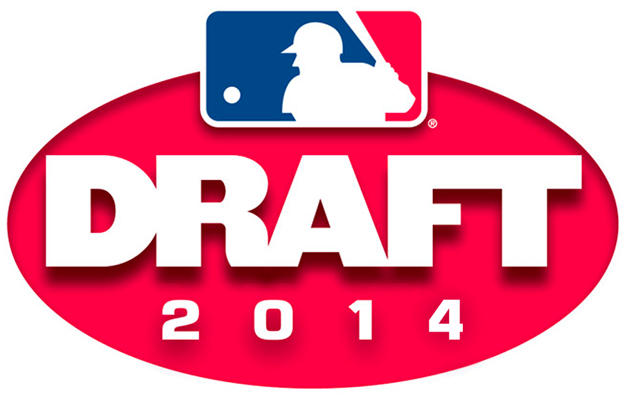 MLB Draft 2014 Primary Logo iron on transfers for T-shirts